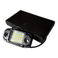 Battery Powered Rock Light